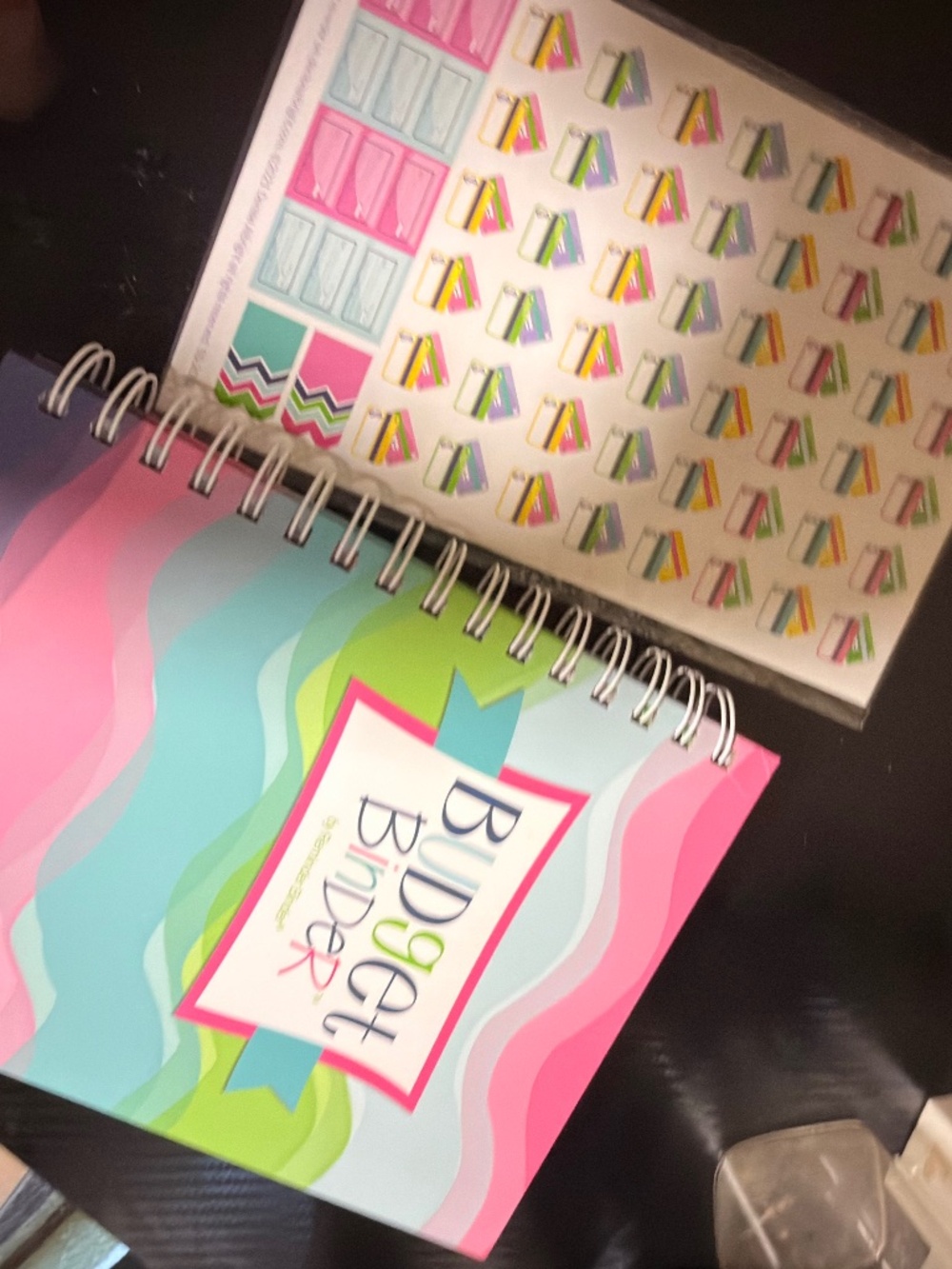 NWT Denise Albright Budget Binder Spiral Bill Organizer + Stickers